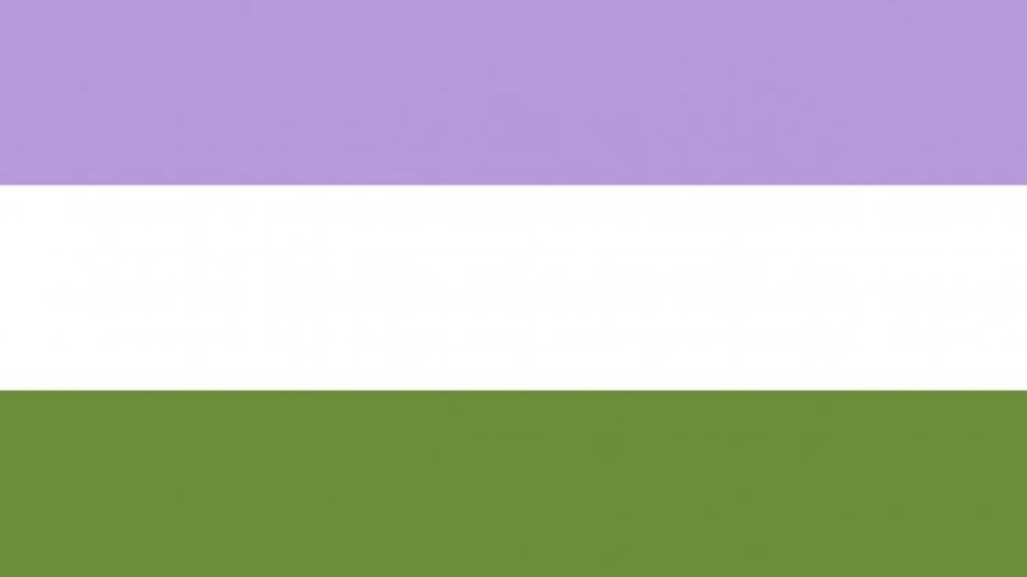 genderqueer-flag.jpeg