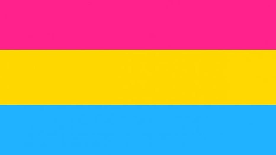 pansexual-flag.jpeg