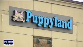 Renton pet store criticized over payment systems and puppy mills