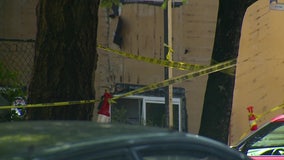 Construction worker suffers gunshot wound after shooter appeared 'out of the woods'