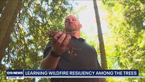 Conservation organization helps communities tucked into forests gauge wildfire risk