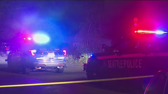 Suspect arrested after victim shot in the neck at International District encampment