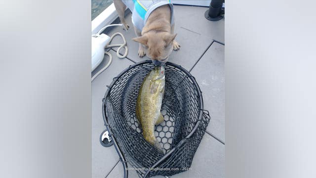 Fishing report of the week: Smallmouth Bass at Sammamish Lake
