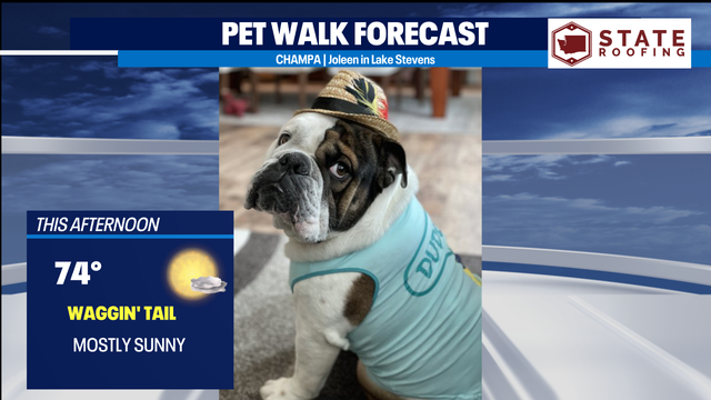 Another sweet summer day