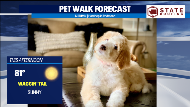 Perfect summer weather for last week of July