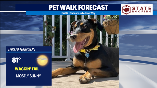 Another lovely and comfortable July day