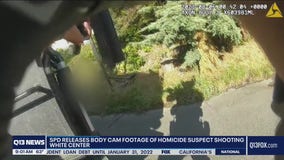 Seattle police release bodycam video of deadly shooting of homicide suspect near White Center