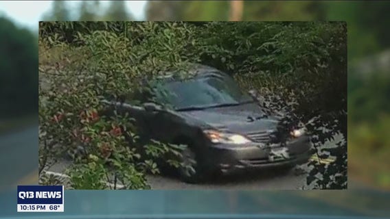 Investigators search for vehicle of interest in deadly hit and run of Maple Valley father