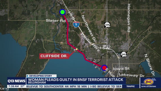 Bellingham woman pleads guilty to terror charge on train tracks