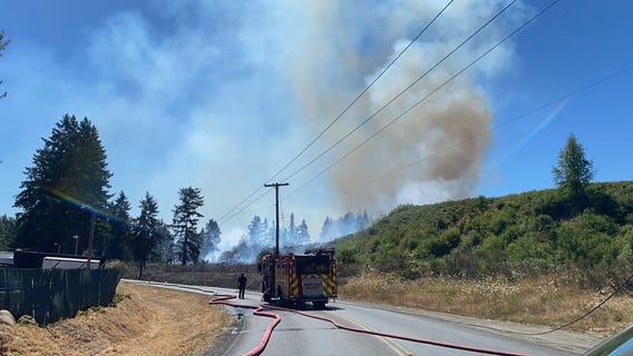 Tree falls onto power line, sparking brush fire in Pierce County