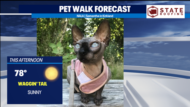 Perfectly normal and comfortable August day, with a brand new hurricane in the Caribbean