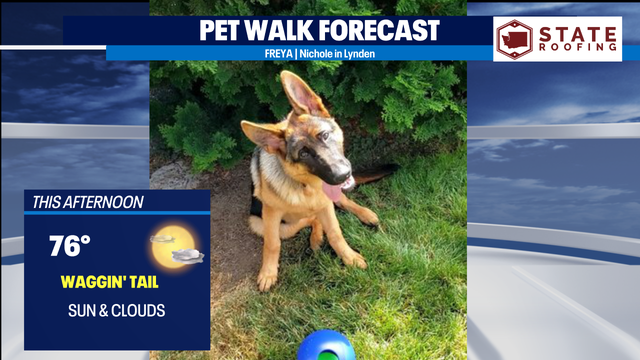 Comfortable August day; some rain on the way