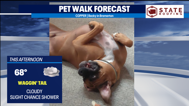 Cloudy and cool-for-August weekend