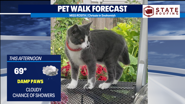 A few showers and cooler-than-normal