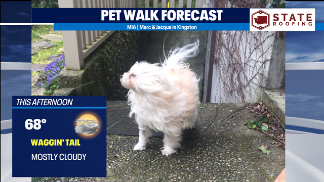 Cool, quiet end to August in Northwest; Tropical Storm Ida continues to batter the Southeast