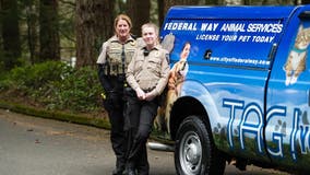 Federal Way police rescue 5 malnourished dogs living in 'squalid' conditions