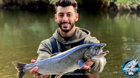 Fishing Report of the Week: Coho Salmon on the Green River