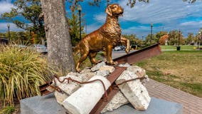 Dogs of 9/11: Heroic canines combed debris, offered comfort