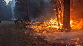 Schneider Springs Fire burning in Okanogan-Wenatchee National Forest now 55% contained