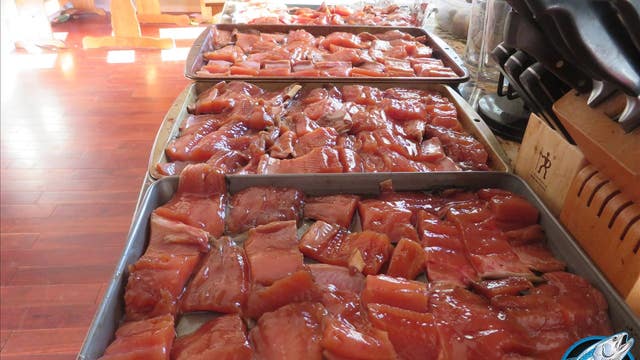 Fishing Report of the Week: Pink Salmon in Snohomish River