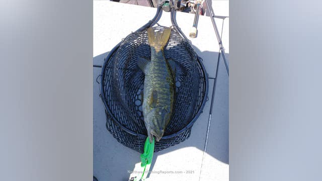 Fishing Report of the Week: Smallmouth Bass at Sammamish Lake