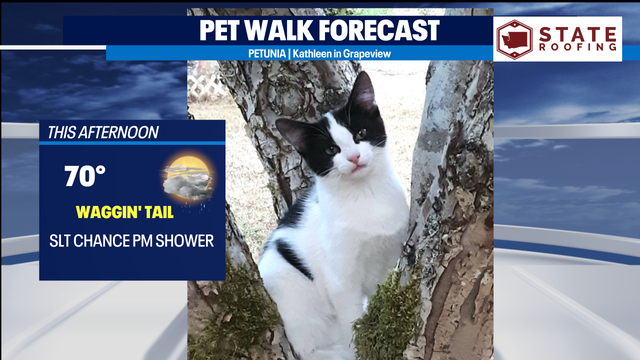 Cooling off into the 60s with showers chances returning with steadier rain through the weekend.