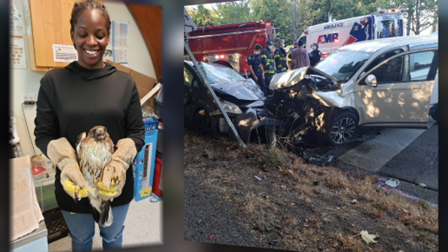 Woman's car stolen while she helped victims in crash in Seattle
