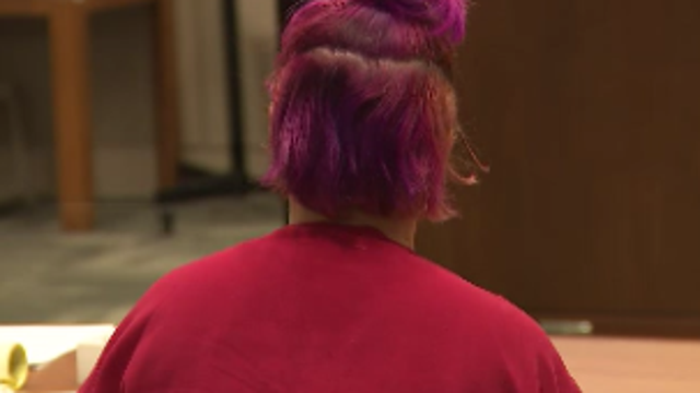 Tips to Crime Stoppers lead to arrest of woman accused of trying to kidnap 2-year-old in SeaTac