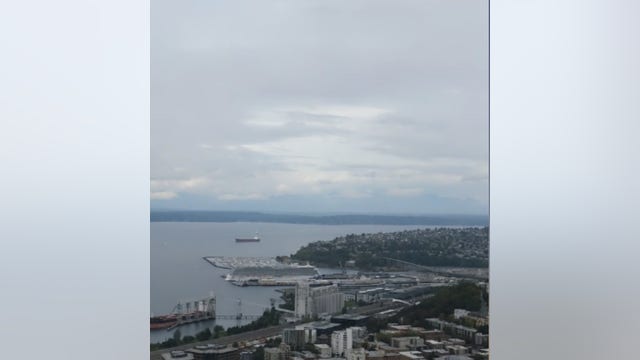 Fall weather is here! Get ready for rain, possible gusty winds, and a chance for thunderstorms?