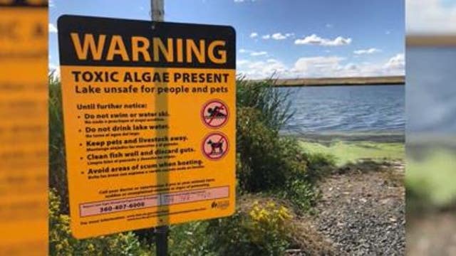 Grant County health department warns of harmful algae blooms in Moses Lake