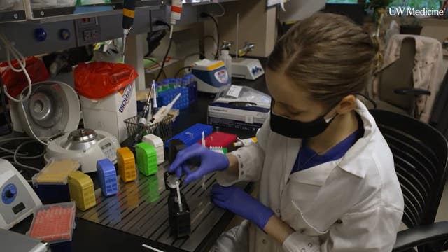 UW researcher finds new method to speed COVID variant tracking from weeks to hours