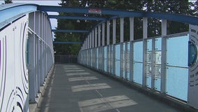 Vandal causes 'hundreds of thousands' in damages to art installations on Shoreline bridges