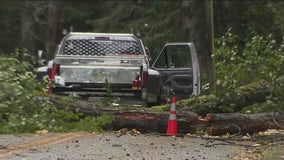 High wind warning in effect for multiple north Puget Sound counties