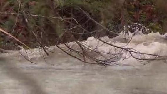 Flood alerts issued for some rivers after heavy rainfall