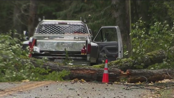High wind warning in effect for multiple north Puget Sound counties
