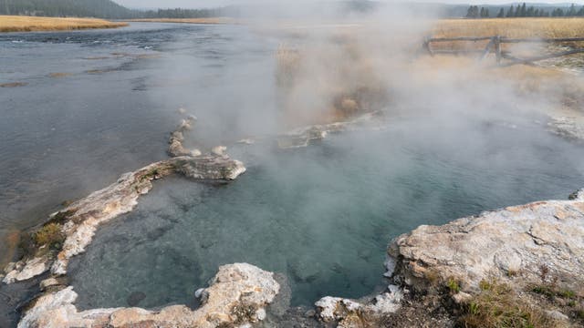 Woman burned rescuing her dog from Yellowstone hot spring