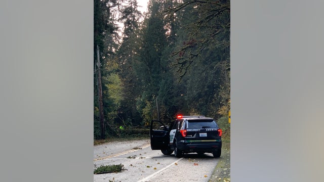Medical Examiner's office identifies 2 killed by fallen tree near Preston