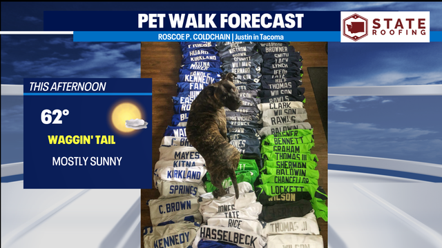 Sweet start to 'Fog-tober' in Western Washington