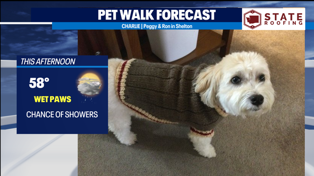 Chilly and damp October days ahead