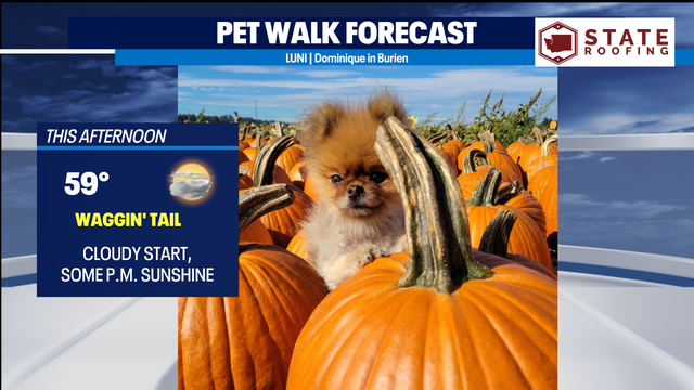 Staying dry and cool through Saturday