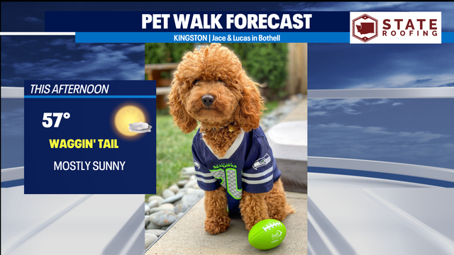 Dry and cool through Saturday