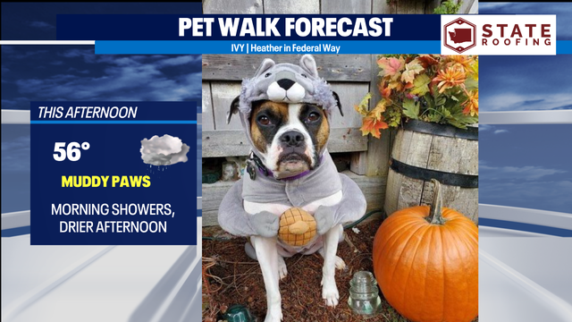 Heavy rain for some areas Friday and Saturday