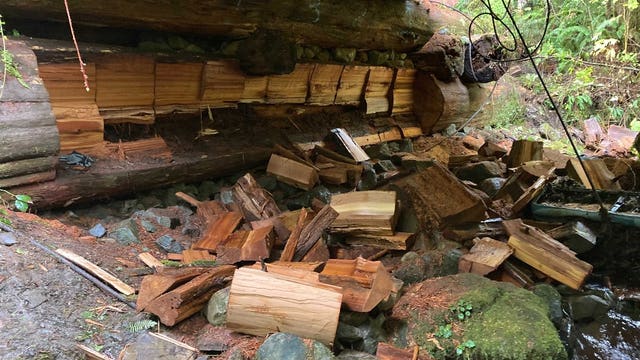 DNR: 2 men suspected of cutting wood from bridge with chainsaw