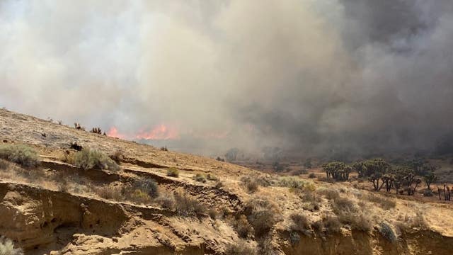 Report: Fires, heat waves cause ‘climate anxiety’ in youth