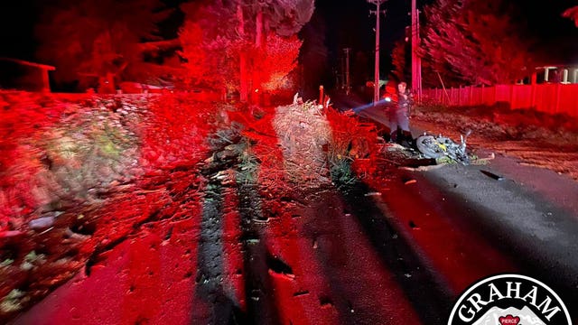 Motorcyclist crashes into tree debris left in the road in Graham
