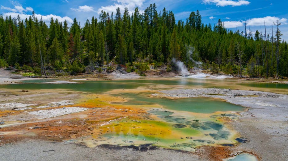 d575d821-Yellowstone