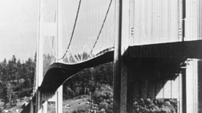 How a dog bite led to the only death during the infamous Tacoma Narrows Bridge collapse