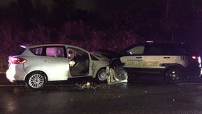 Gig Harbor officer hit by suspected drunk driver, only minor injuries
