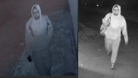 Police looking to identify car prowler who shot at woman at her West Seattle home