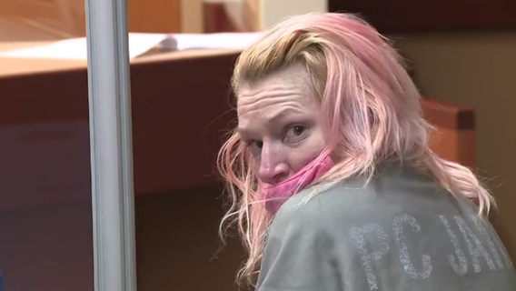 Disguised prolific burglary, car theft suspect found guilty of assault, sentenced to 7 years in prison